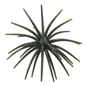Coight Urchin Bait
