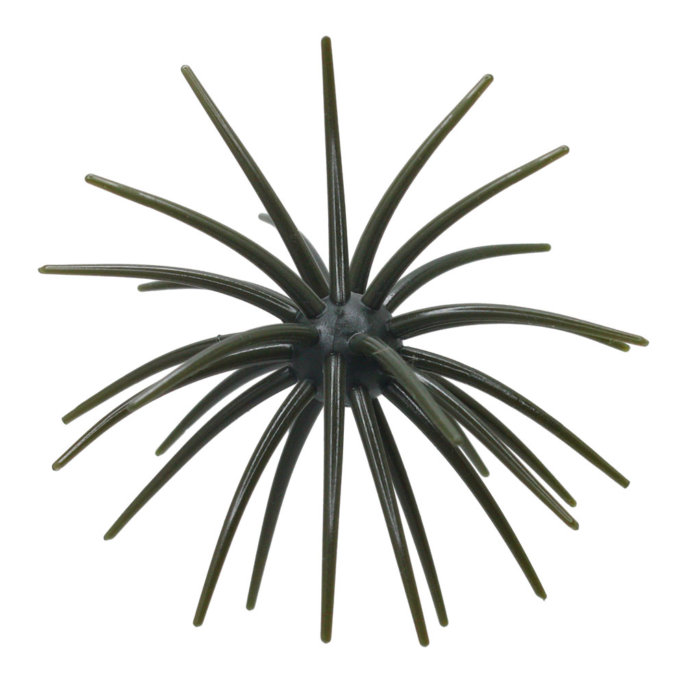 Coight Urchin Bait